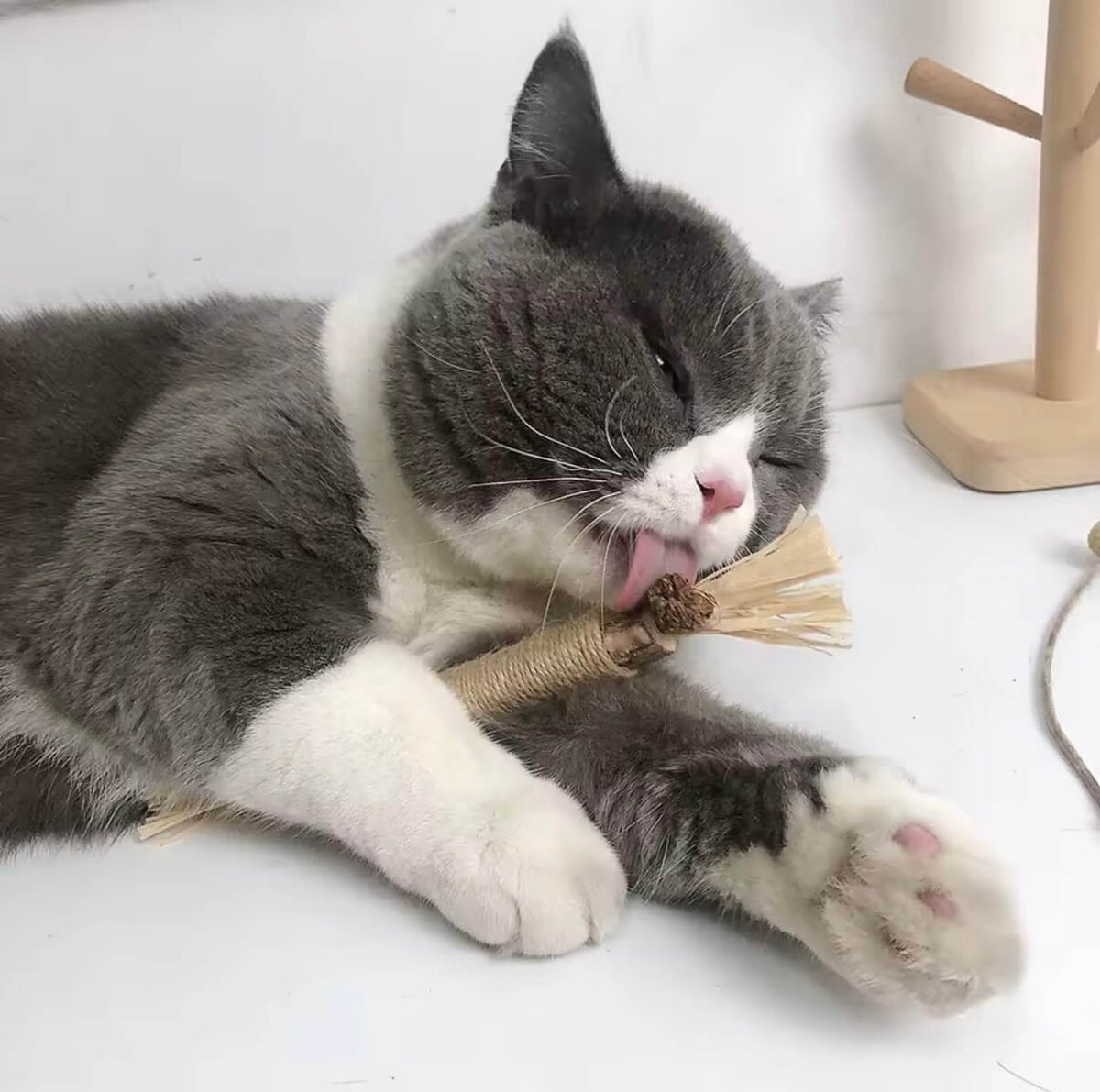 Molù NaturaStick | Bastoncino naturale per gatti