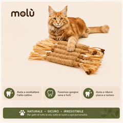 Molù NaturaStick | Bastoncino naturale per gatti