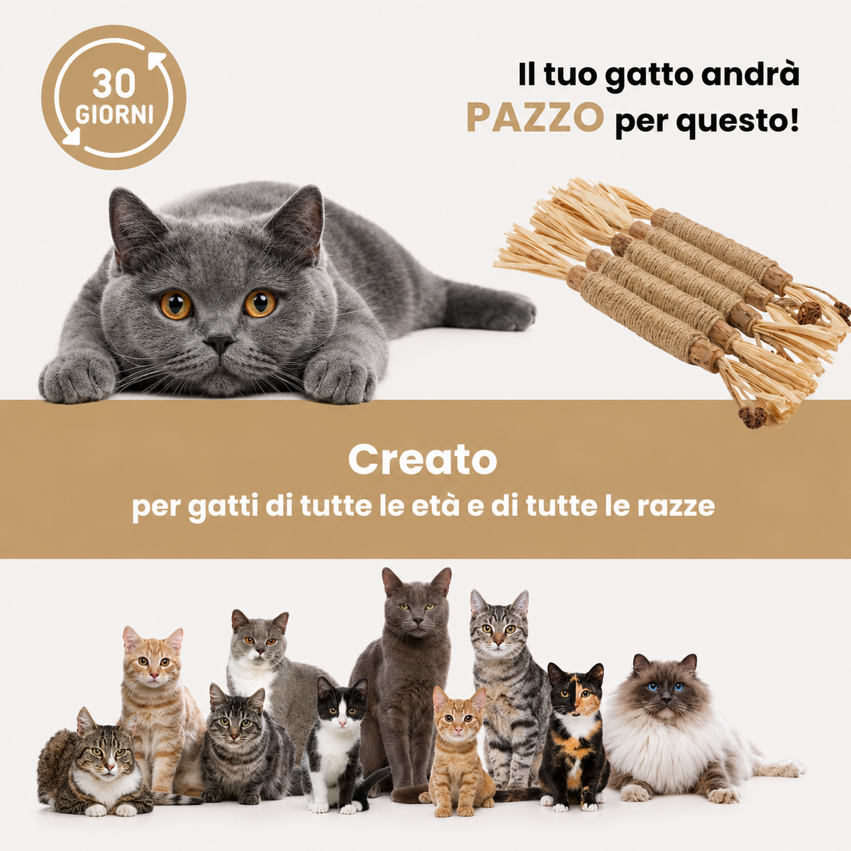 Molù NaturaStick | Bastoncino naturale per gatti