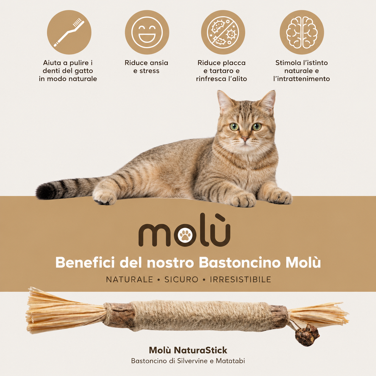 Molù NaturaStick | Bastoncino naturale per gatti